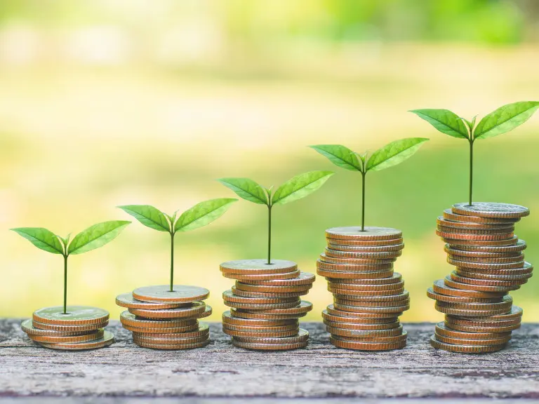 Mudas verdes crescendo em pilhas crescentes de moedas